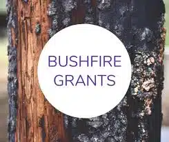 financial support bushfires